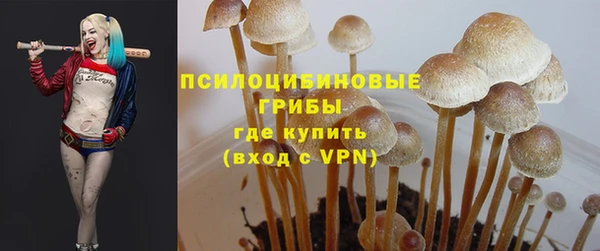 прущая мука Майский